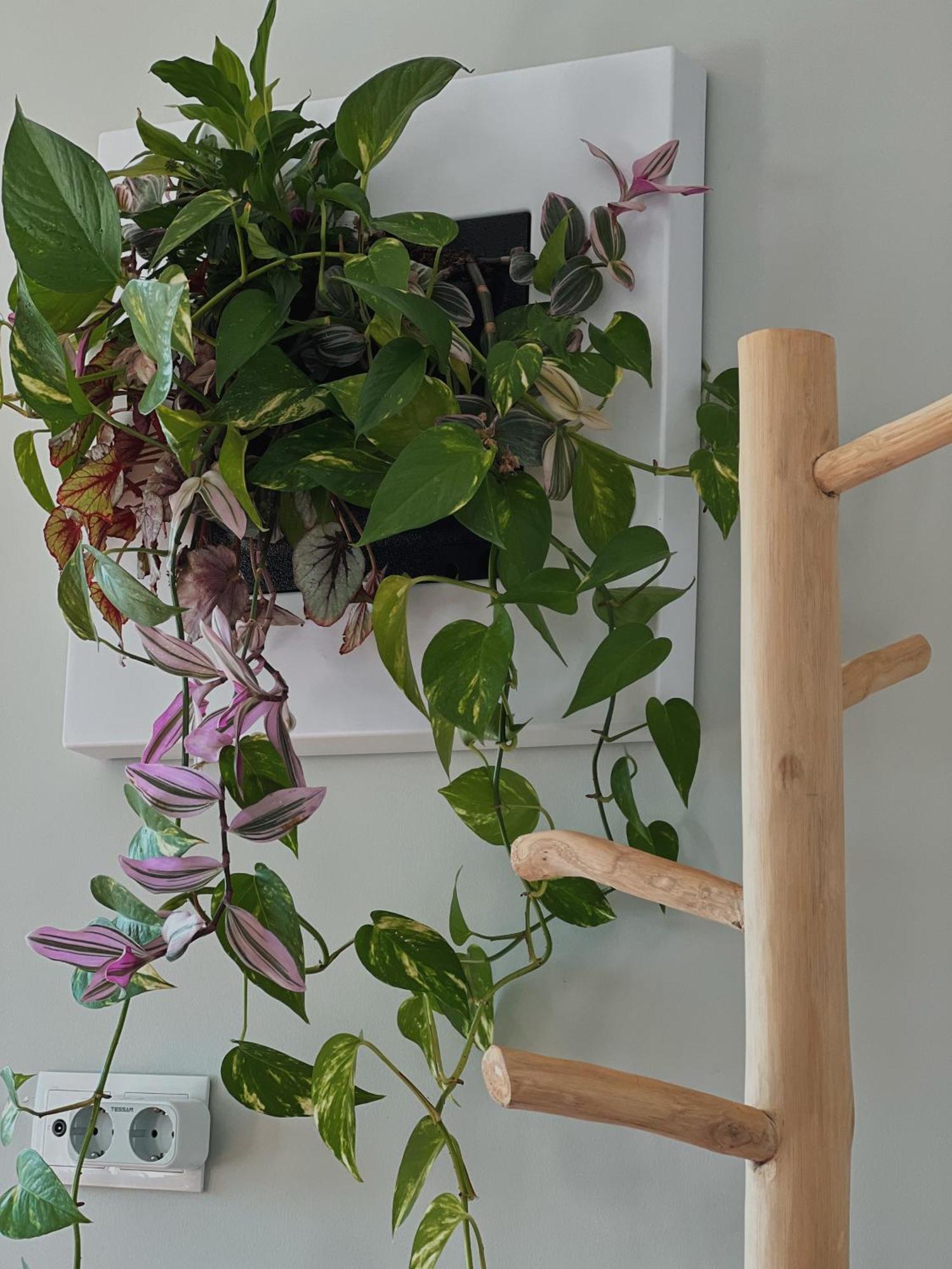 Luna House & Cowork Cascais Ngoại thất bức ảnh